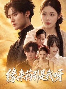 緣來(lái)藥引是我呀海報(bào)